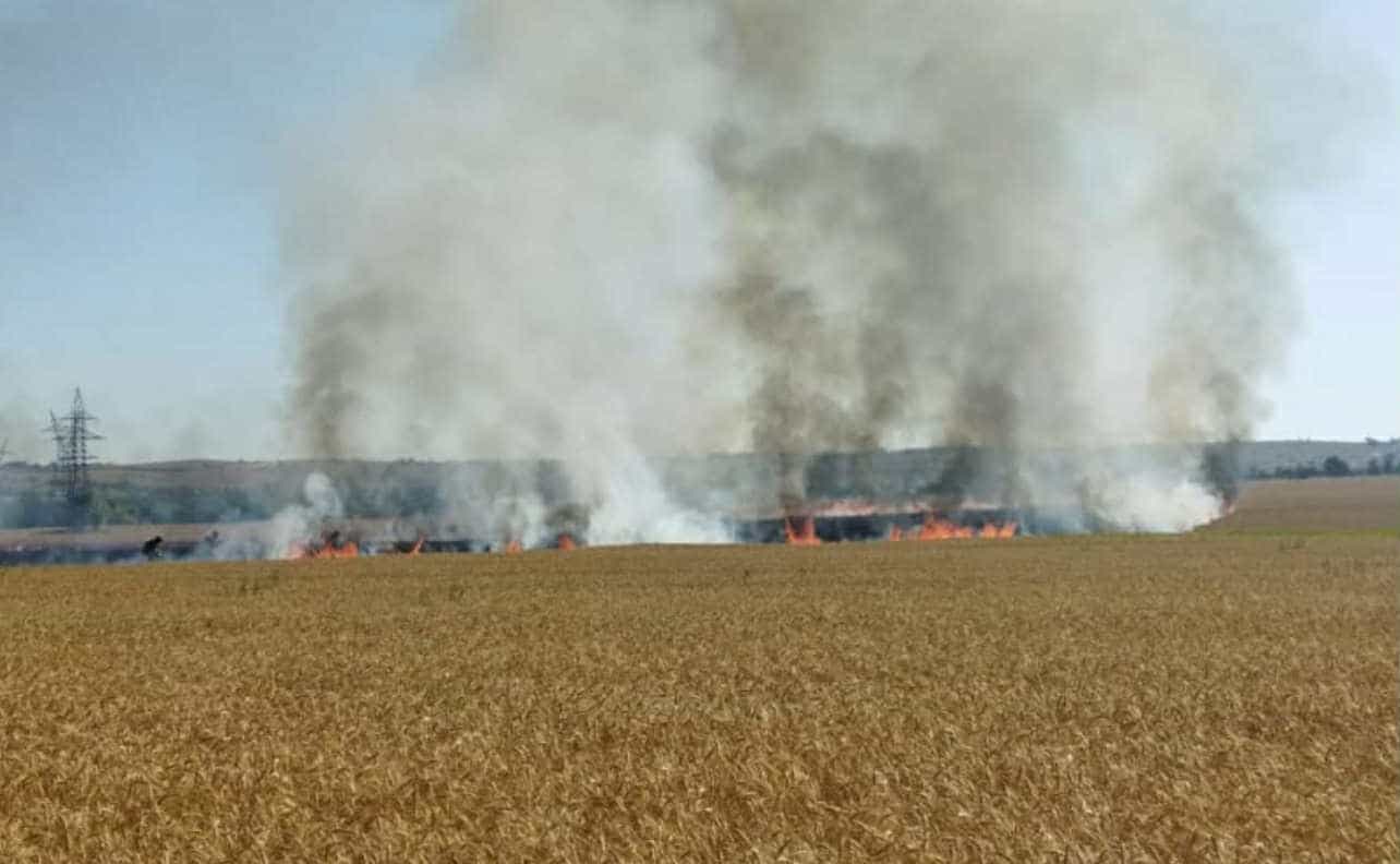 Аграрії Донеччини понесли збитків ще на 8 мільйонів гривень через війну і втрату зернових