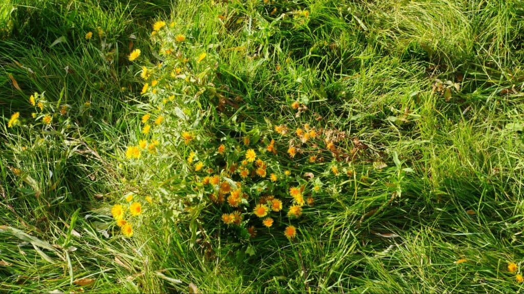 Водоснабжение Славянска. Озеро питьевой воды и грустная история, которую хочется рассказать