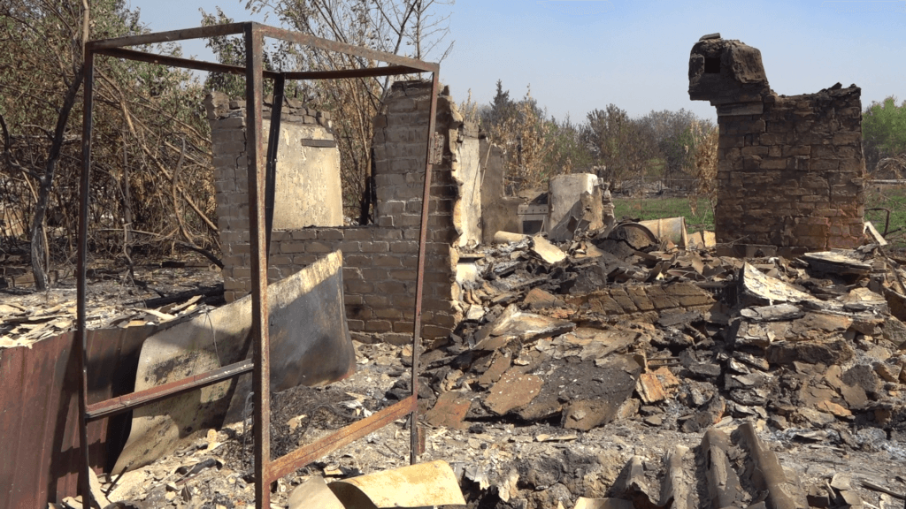 Вражеская диверсия или прихоти погоды: Луганщина снова в огне