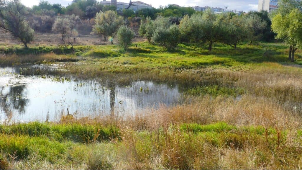 Водоснабжение Славянска. Озеро питьевой воды и грустная история, которую хочется рассказать