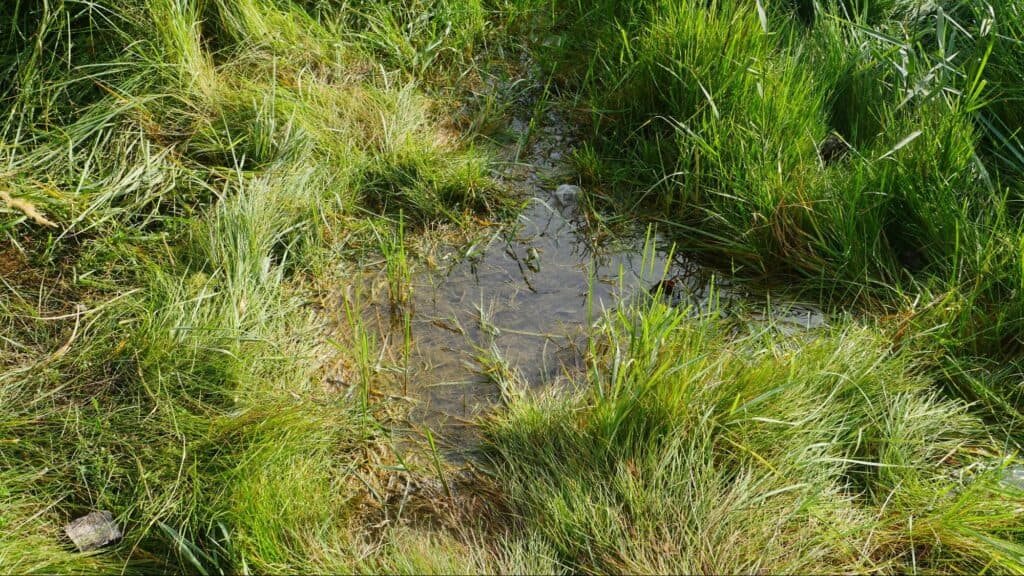 Водоснабжение Славянска. Озеро питьевой воды и грустная история, которую хочется рассказать