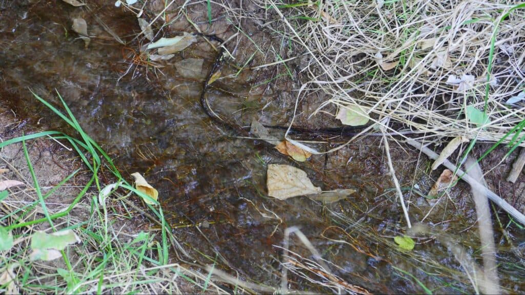 Водоснабжение Славянска. Озеро питьевой воды и грустная история, которую хочется рассказать