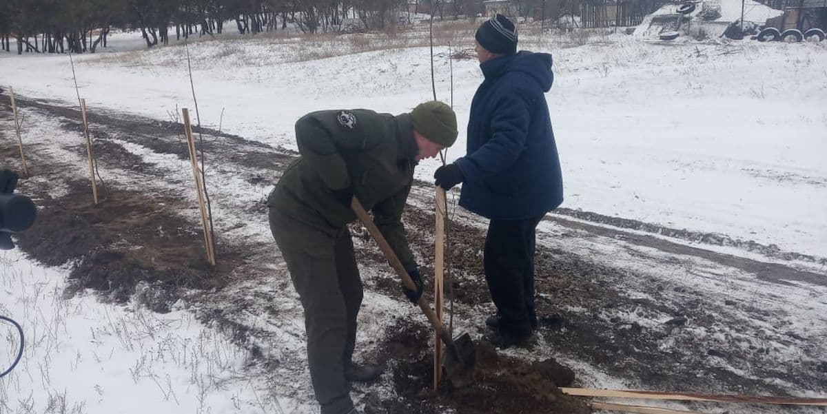 Поможем всей Украиной. Кто на Луганщине восстанавливает сгоревший лес 