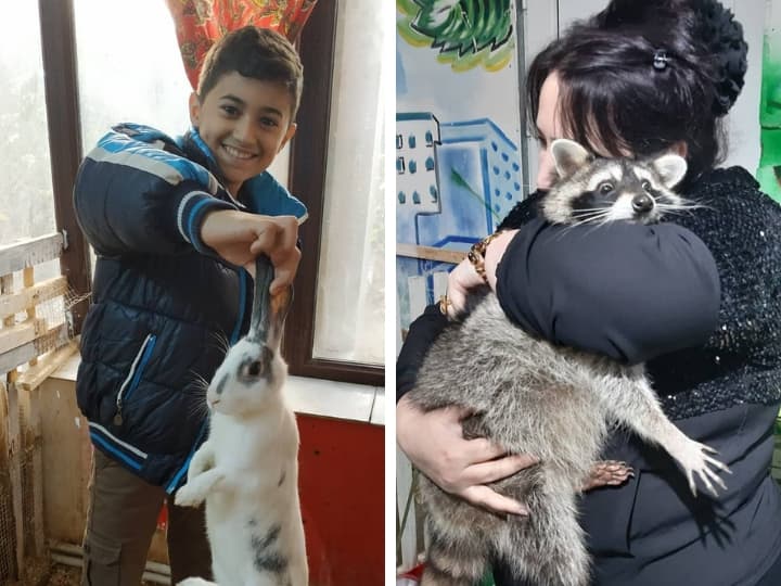 контактный зоопарк