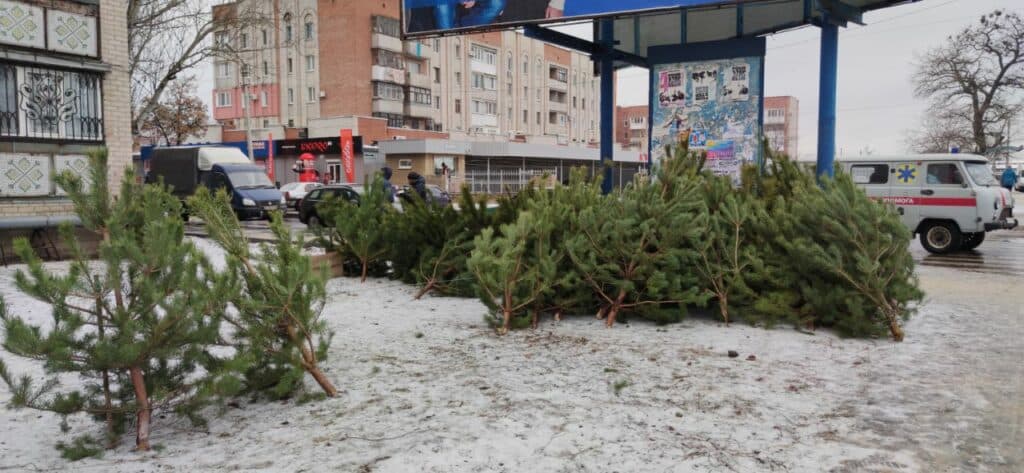 Сколько стоит Новый год? В Славянске подсчитали праздничные траты