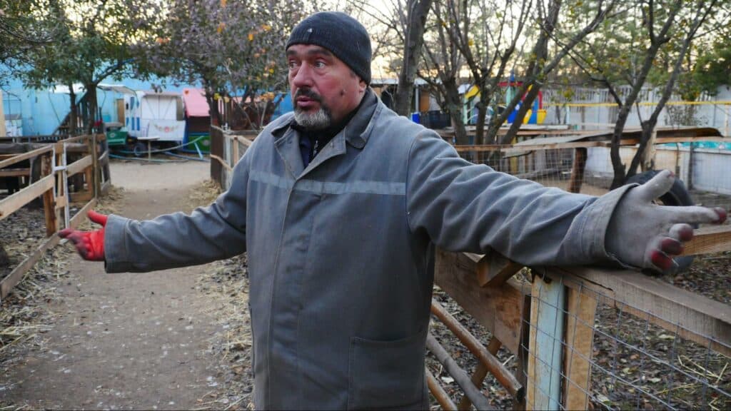 Ближе к природе: в Славянске открылся мини-зоопарк