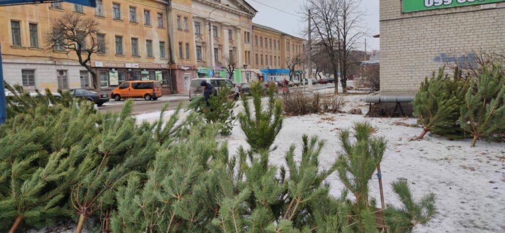 Сколько стоит Новый год? В Славянске подсчитали праздничные траты