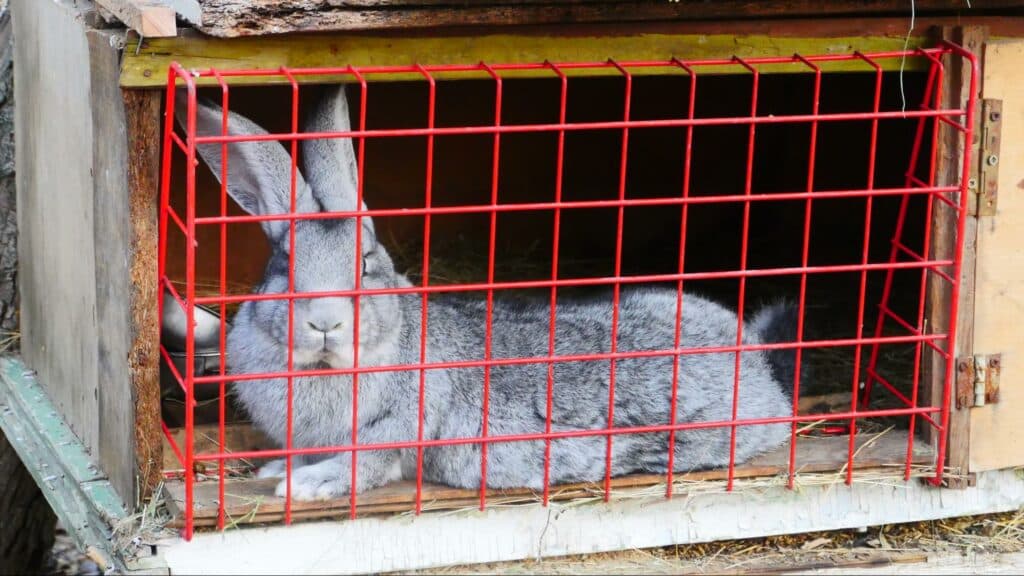 Ближе к природе: в Славянске открылся мини-зоопарк