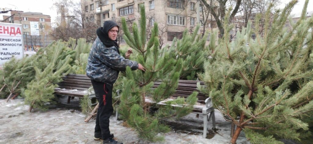 Сколько стоит Новый год? В Славянске подсчитали праздничные траты