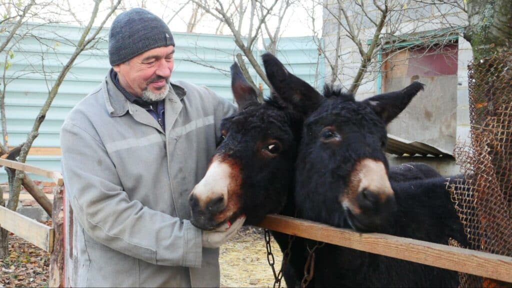 Ближе к природе: в Славянске открылся мини-зоопарк