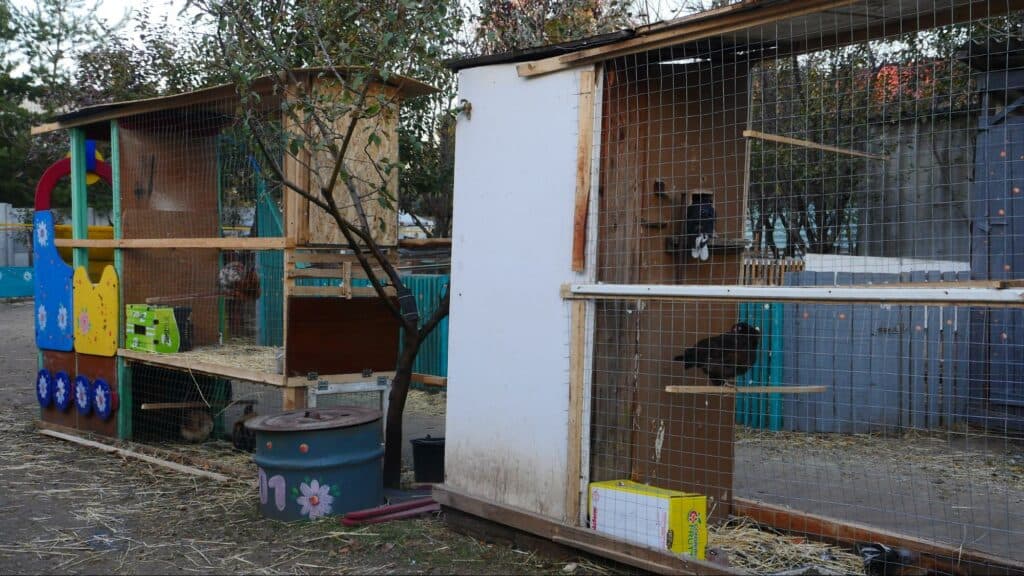 Ближе к природе: в Славянске открылся мини-зоопарк