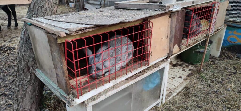 Ближе к природе: в Славянске открылся мини-зоопарк