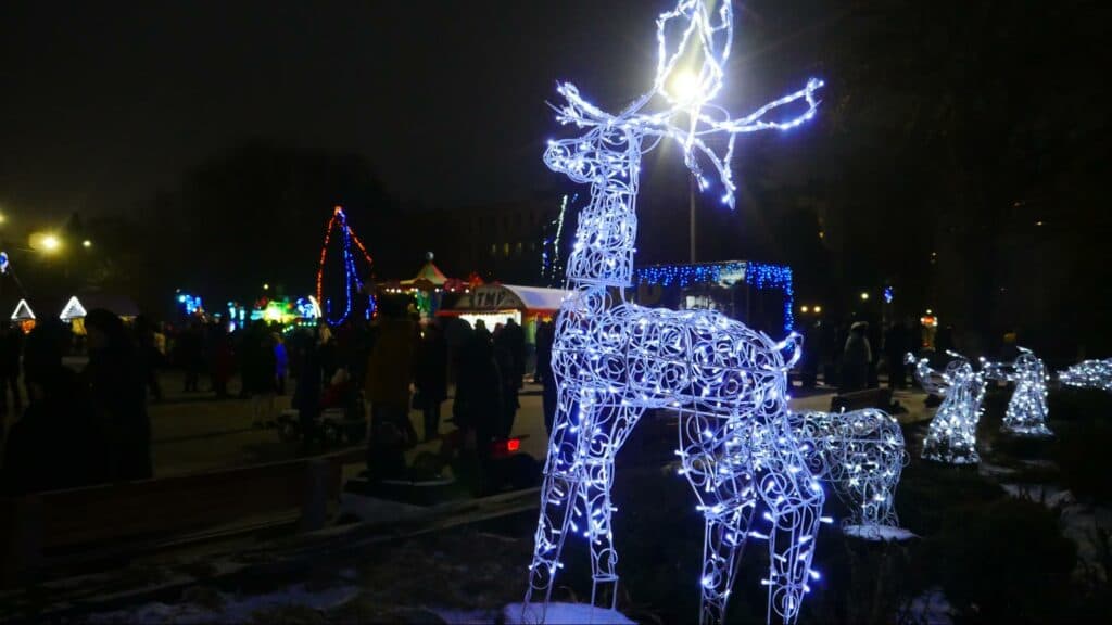 Новогодняя Донетчина: топ-5 городских ёлок и их бюджеты