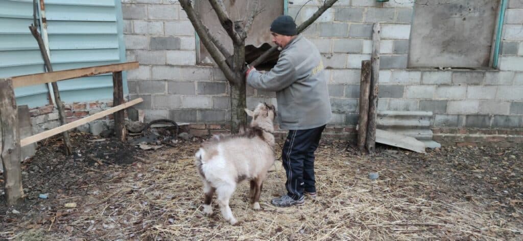 Ближе к природе: в Славянске открылся мини-зоопарк
