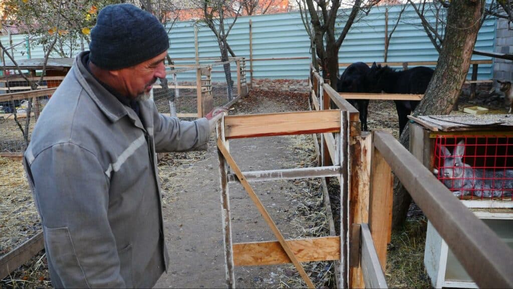 Ближе к природе: в Славянске открылся мини-зоопарк