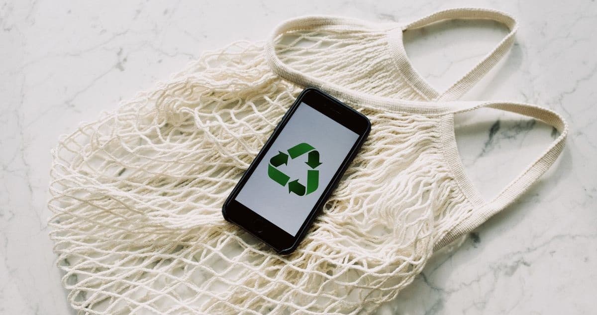 Как жить экологично? Подробный гайд для мариупольцев