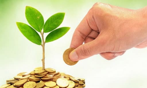 Для аграріїв Луганщини спростять процес реєстрації податкових накладних: що відомо
