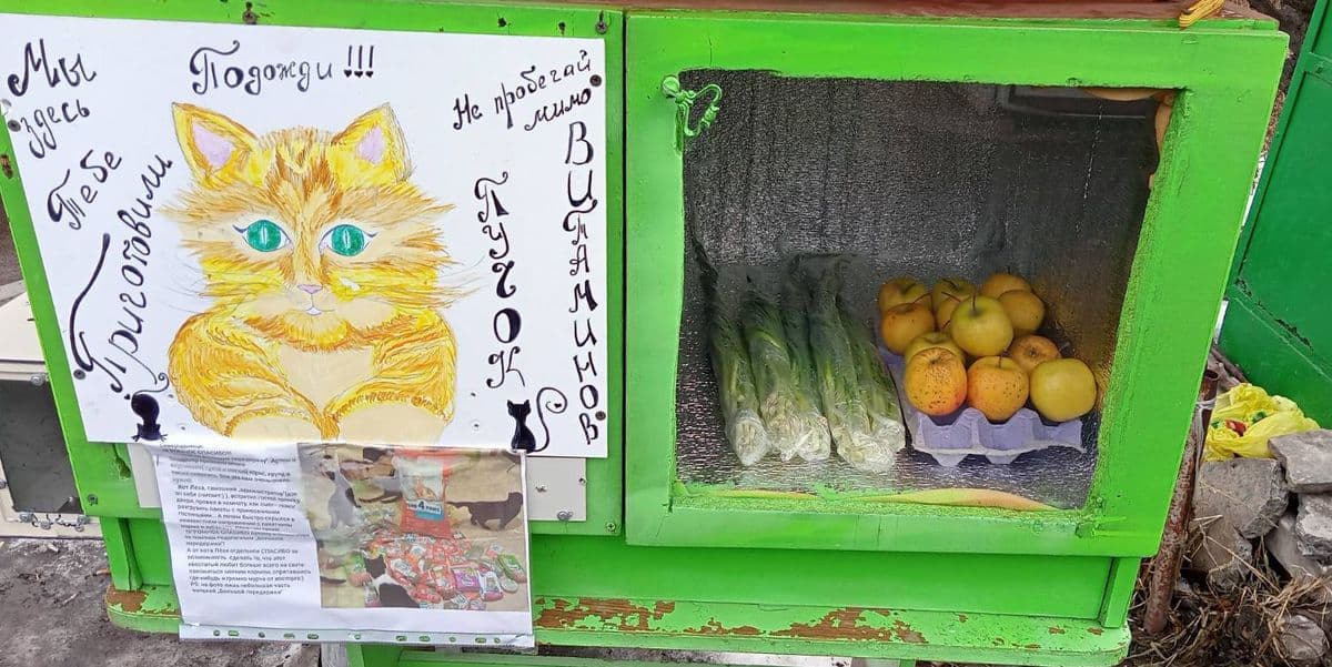 Зеленые ящики с сюрпризом и копилкой. Кто их создает и как это поможет животным Северодонецка