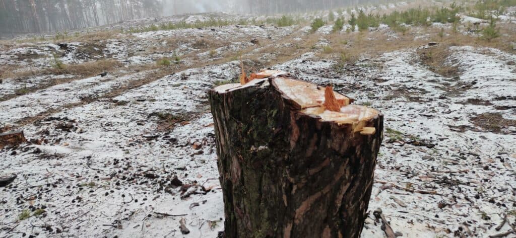 Сланцевая паника. Чего боятся жители Донбасса и есть ли реальная угроза