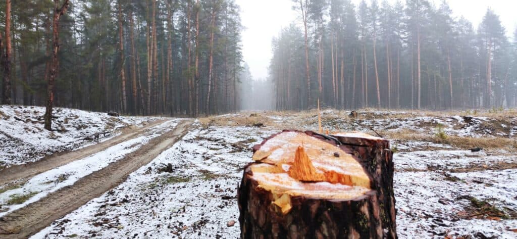 Сланцевая паника. Чего боятся жители Донбасса и есть ли реальная угроза