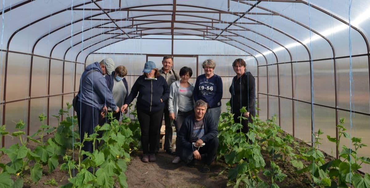 От Станицы до столицы. Как овощеводы прифронтовой Луганщины покоряют рынки Украины