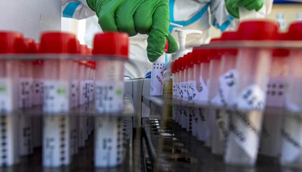 ковид ордло