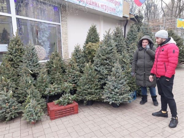 цены в ордло днр лнр
