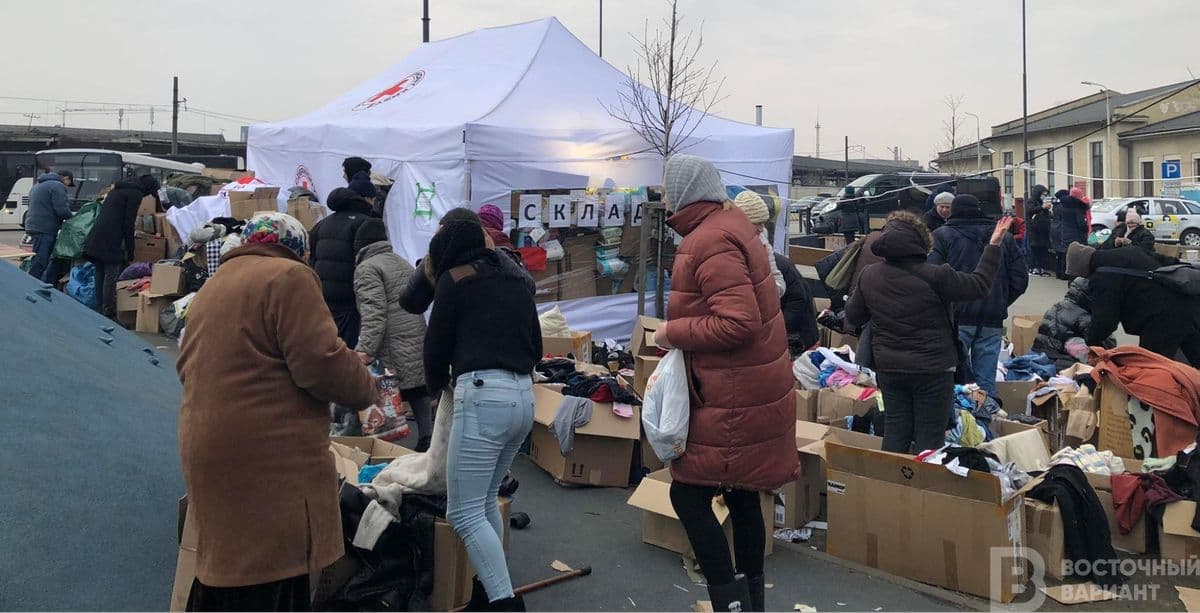 обложка львов лагерь