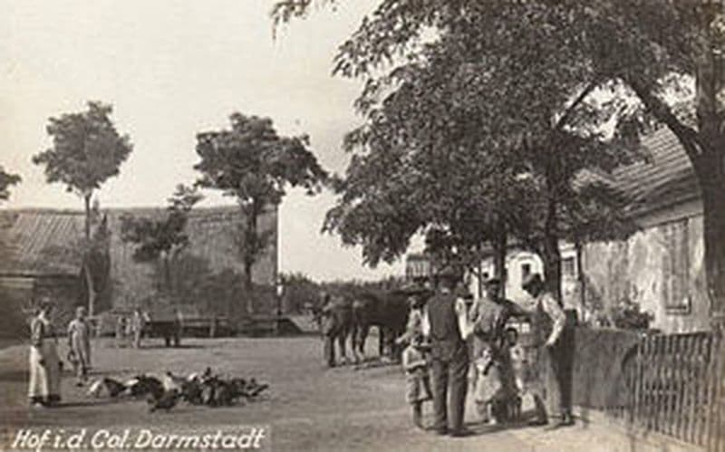 Меноніти в Україні