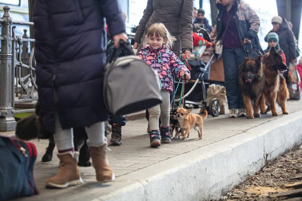 переселенці