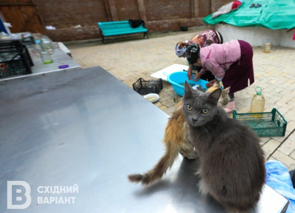Святогірськ 