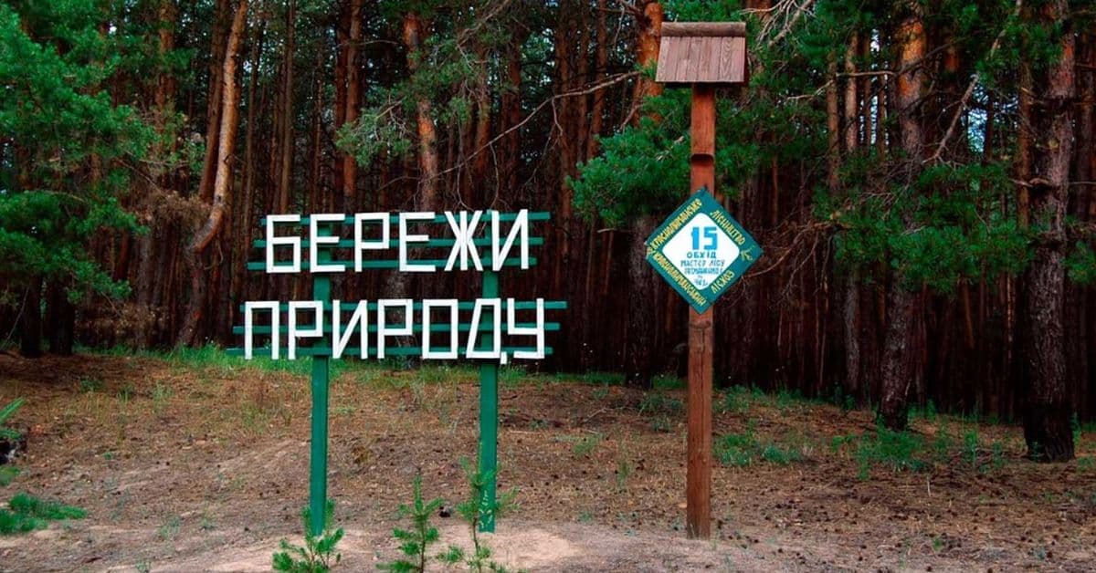 Лиман ліс