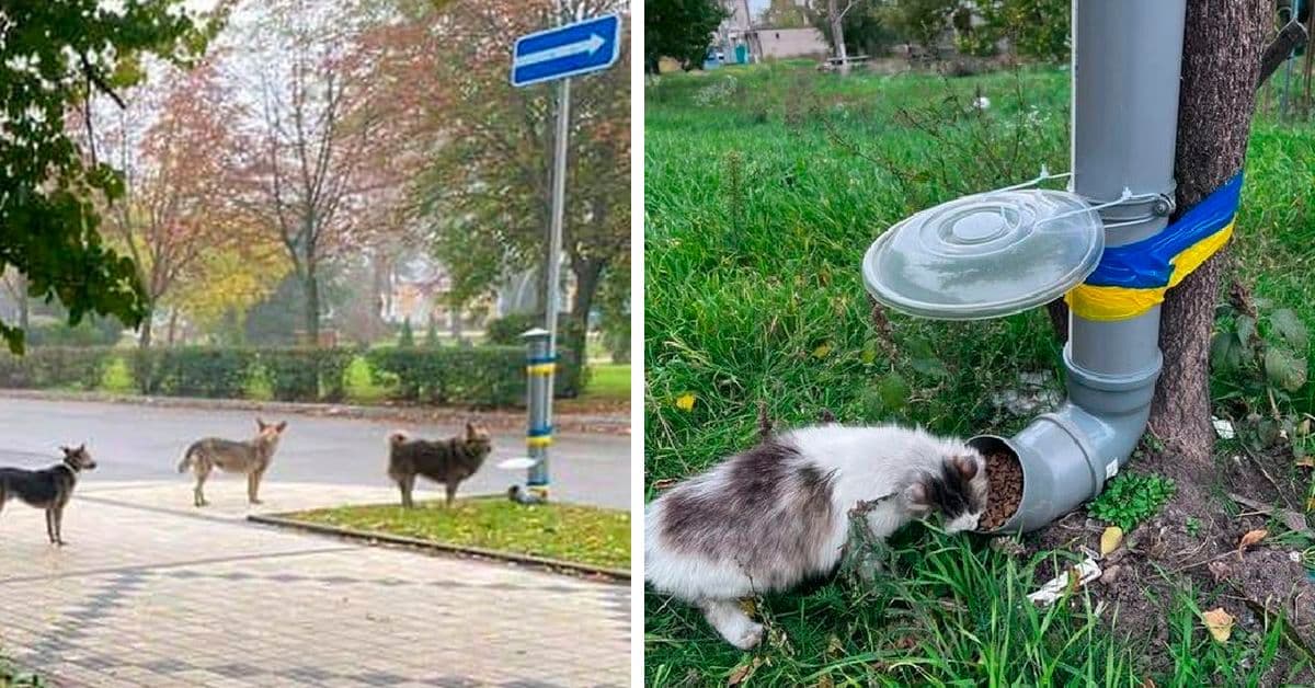 Годівнички для тварин