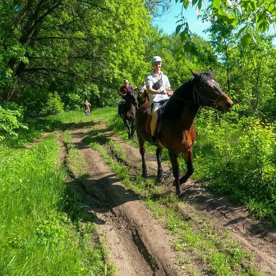 Лошадкін дім Кремінна