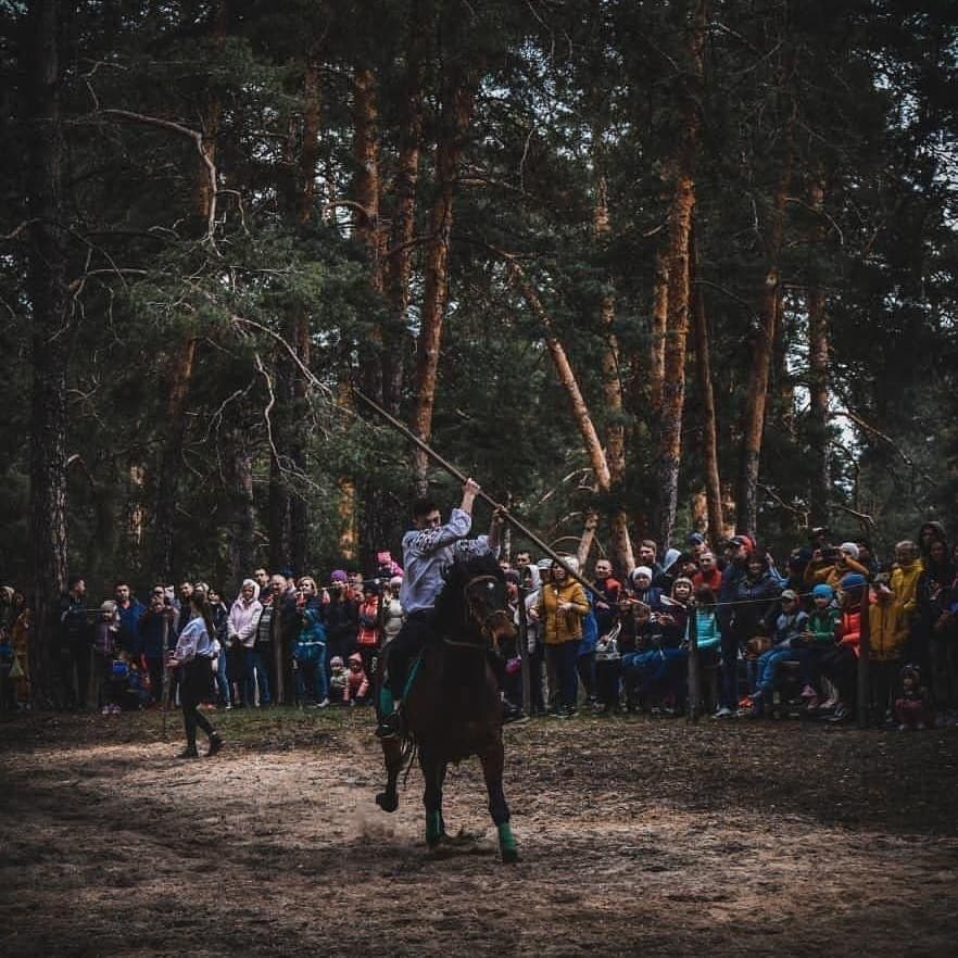 Лошадкін дім Кремінна