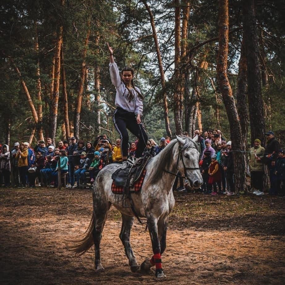 Лошадкін дім Кремінна