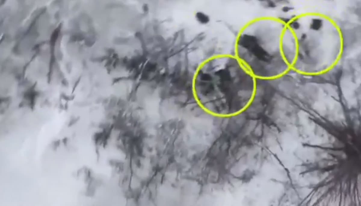 На Куп'янському напрямку українські бійці відбили ворожий штурм (відео)
