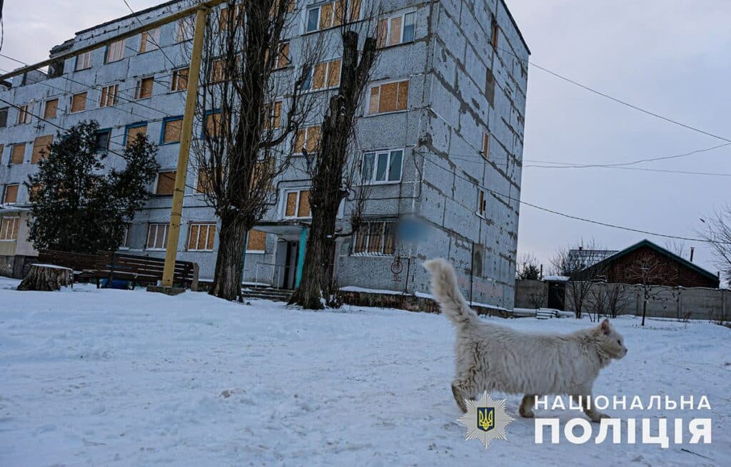 Курахове 5