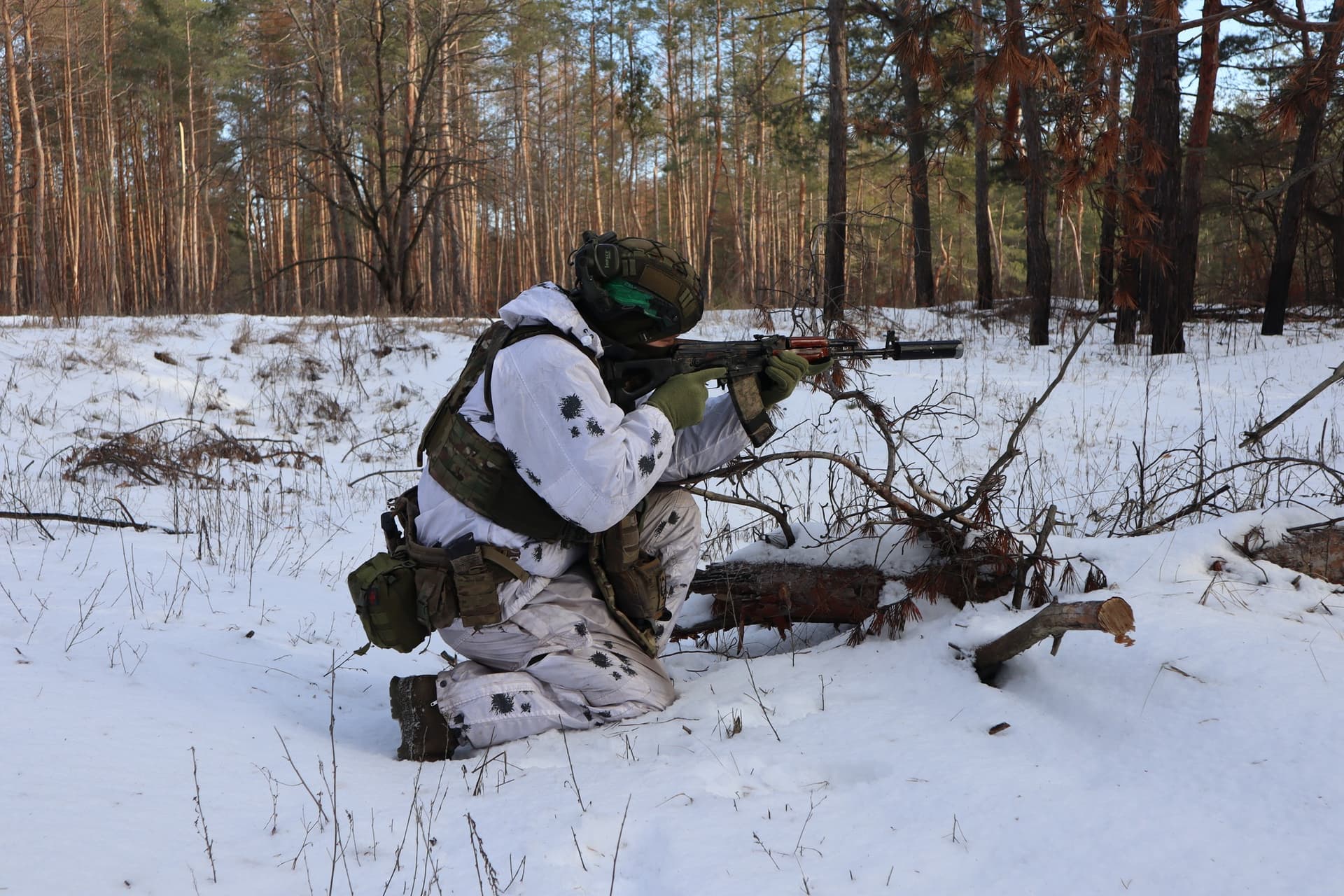 ЗСУ, тероборона