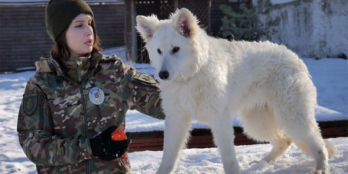 кінологиня 1
