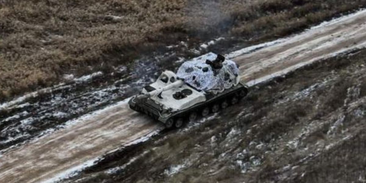 сау