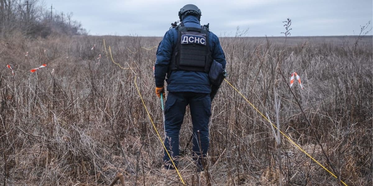 сапер дснс