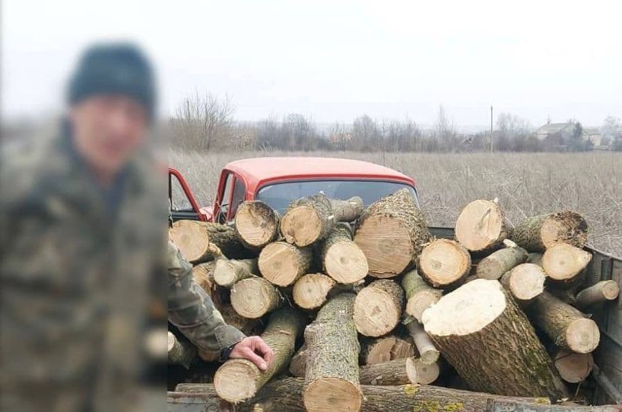 спіляна деревина