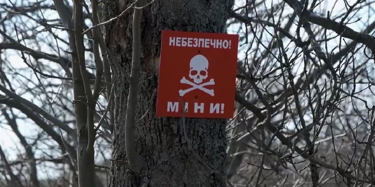 міни