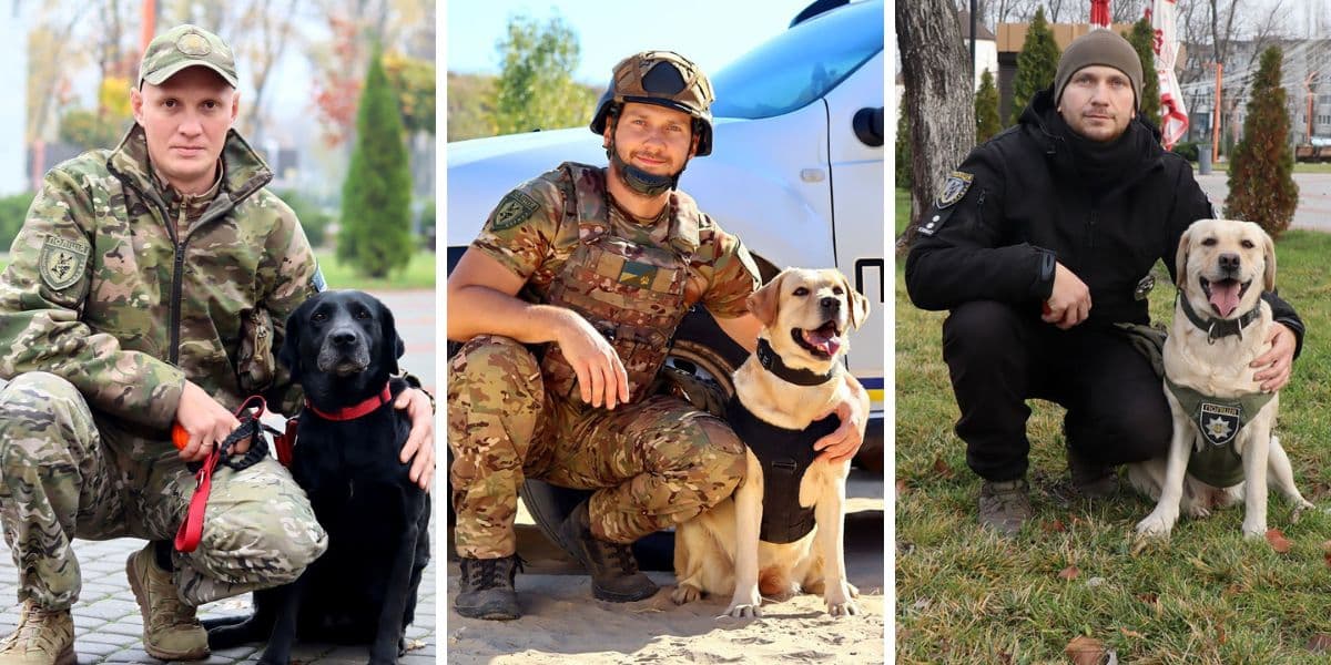 службові собаки 8