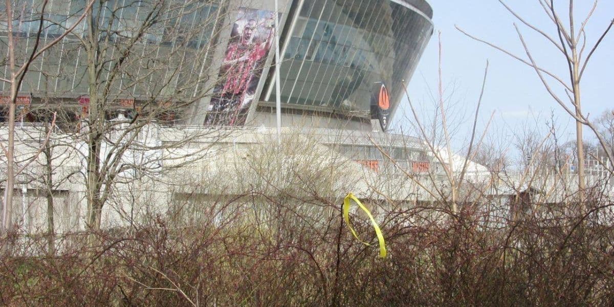 жовта стрічка 1
