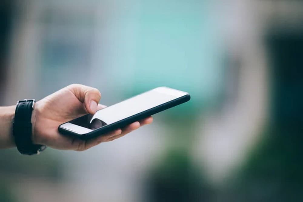 Донецька обласна служба зайнятості розмістила усю корисну інформацію для ВПО в одному місці