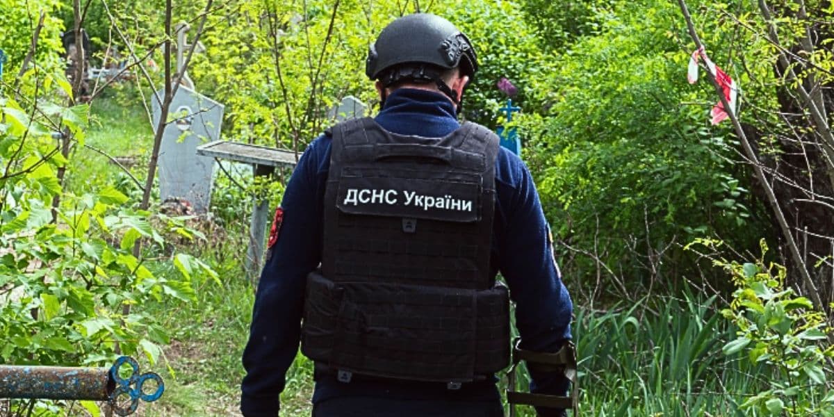 дснс