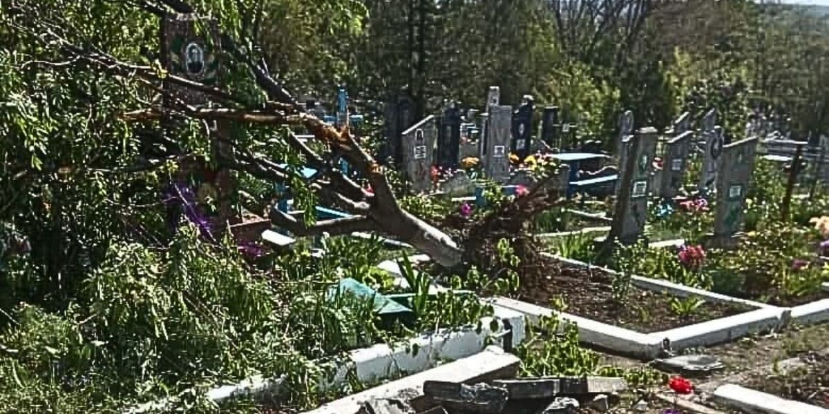 кладовище лнр