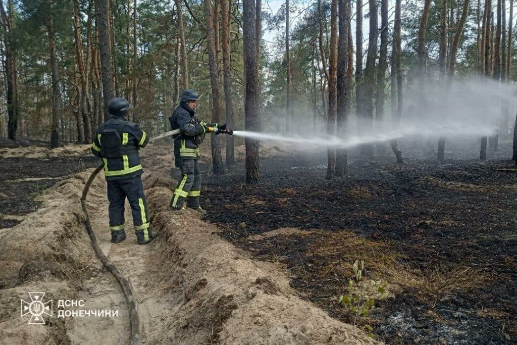пожежа дснс 